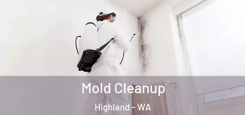  Mold Cleanup Highland - WA