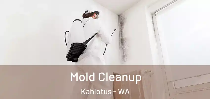  Mold Cleanup Kahlotus - WA
