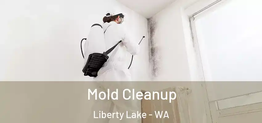  Mold Cleanup Liberty Lake - WA