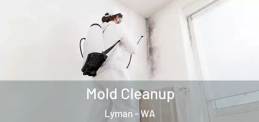  Mold Cleanup Lyman - WA