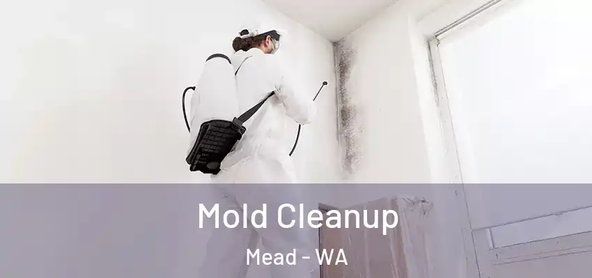 Mold Cleanup Mead - WA