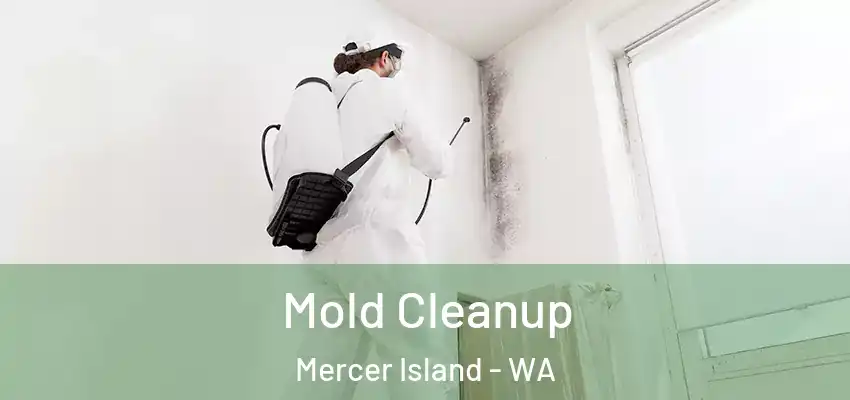  Mold Cleanup Mercer Island - WA