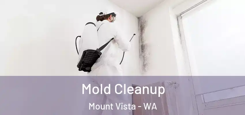  Mold Cleanup Mount Vista - WA
