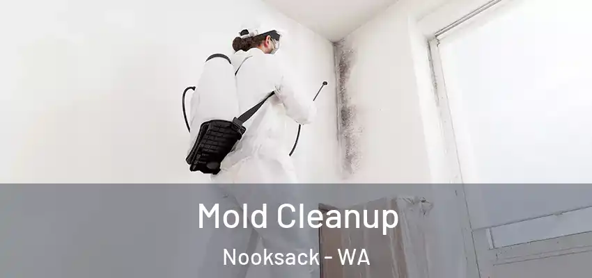  Mold Cleanup Nooksack - WA