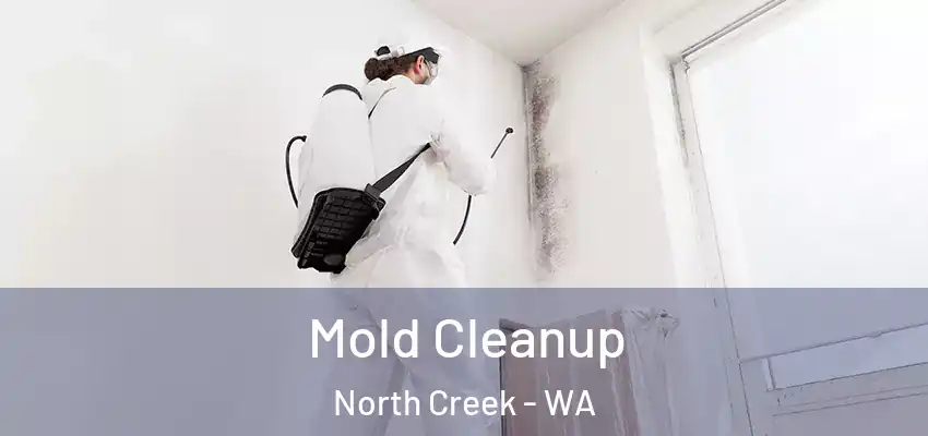  Mold Cleanup North Creek - WA