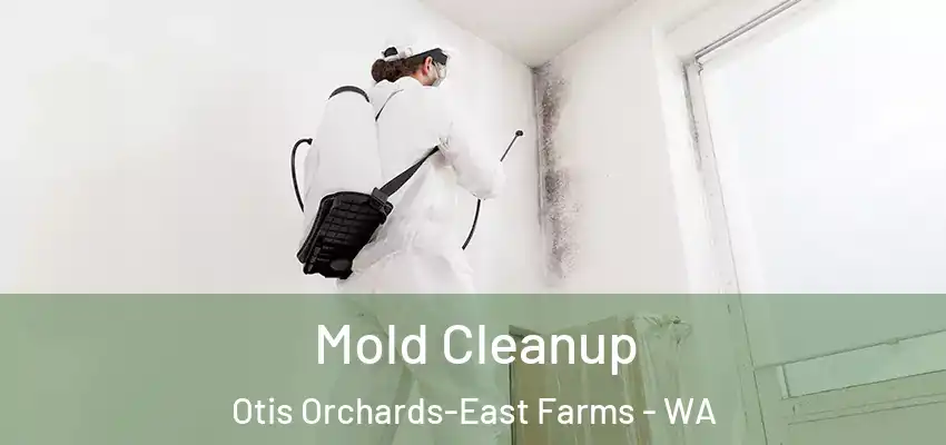  Mold Cleanup Otis Orchards-East Farms - WA