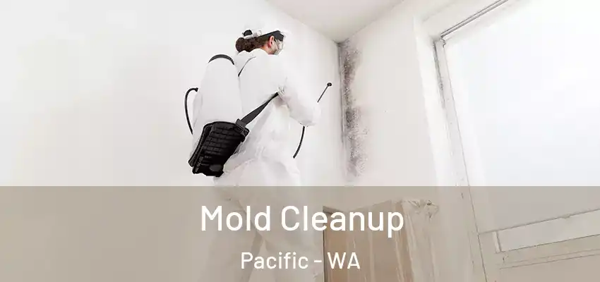  Mold Cleanup Pacific - WA
