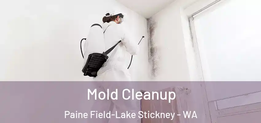  Mold Cleanup Paine Field-Lake Stickney - WA