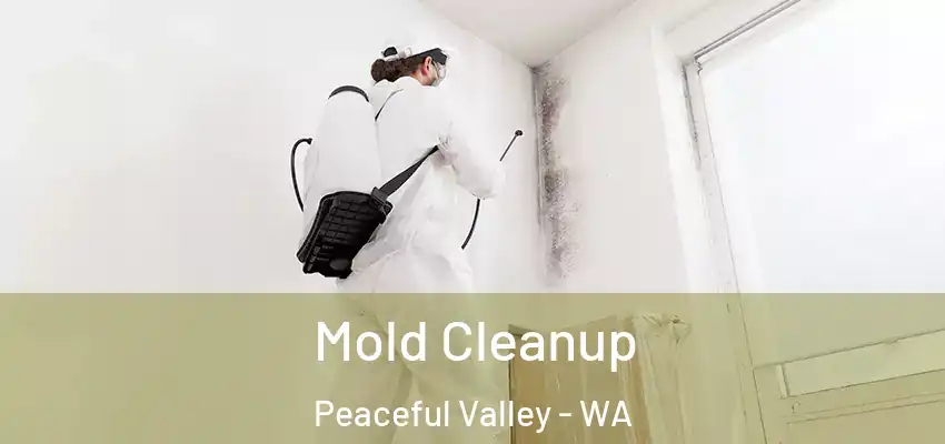  Mold Cleanup Peaceful Valley - WA