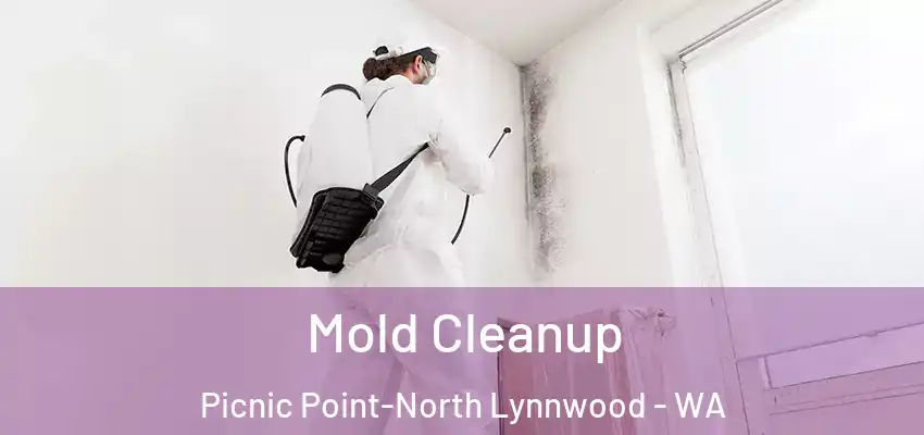  Mold Cleanup Picnic Point-North Lynnwood - WA