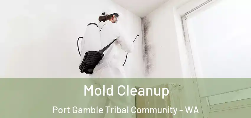 Mold Cleanup Port Gamble Tribal Community - WA