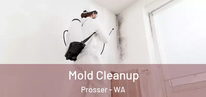  Mold Cleanup Prosser - WA