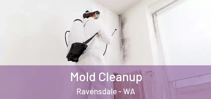  Mold Cleanup Ravensdale - WA