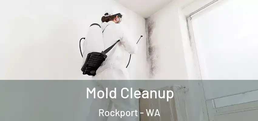  Mold Cleanup Rockport - WA