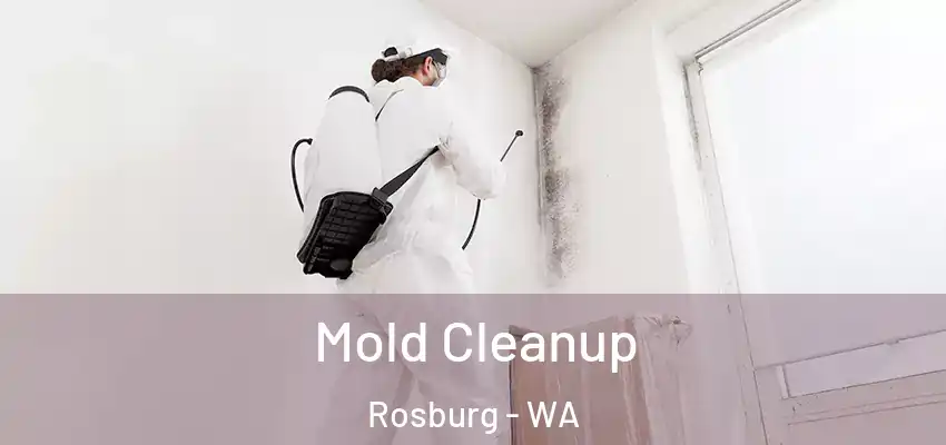 Mold Cleanup Rosburg - WA