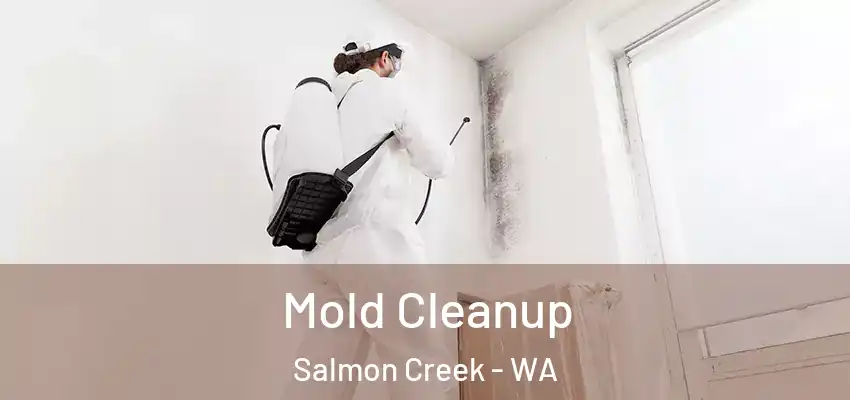  Mold Cleanup Salmon Creek - WA
