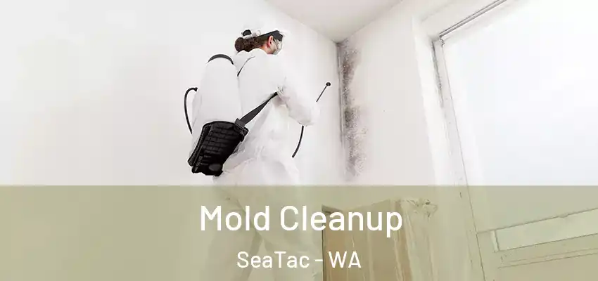  Mold Cleanup SeaTac - WA