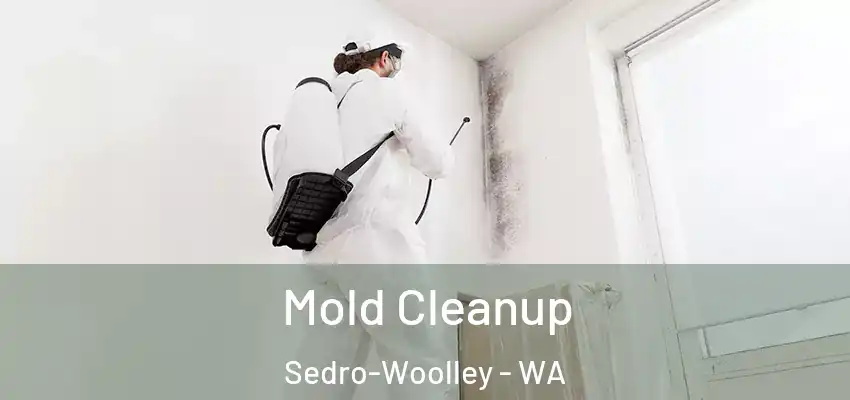  Mold Cleanup Sedro-Woolley - WA
