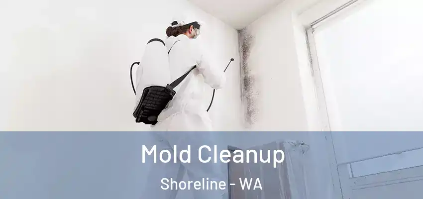  Mold Cleanup Shoreline - WA