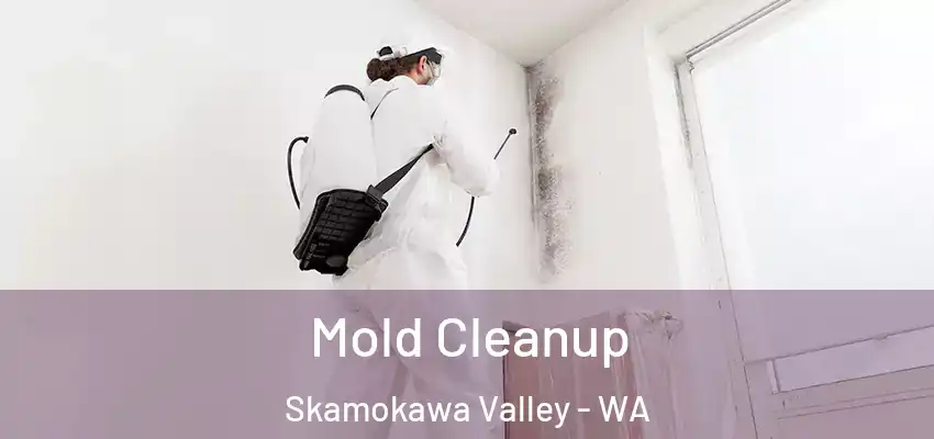  Mold Cleanup Skamokawa Valley - WA