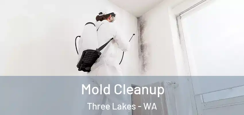  Mold Cleanup Three Lakes - WA