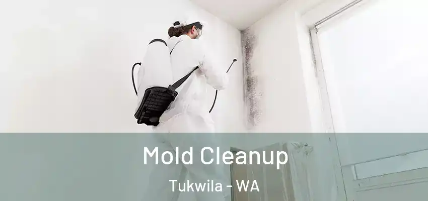 Mold Cleanup Tukwila - WA