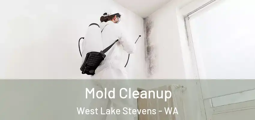  Mold Cleanup West Lake Stevens - WA