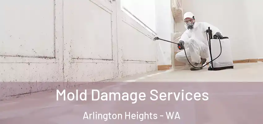  Mold Damage Services Arlington Heights - WA