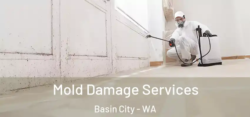  Mold Damage Services Basin City - WA