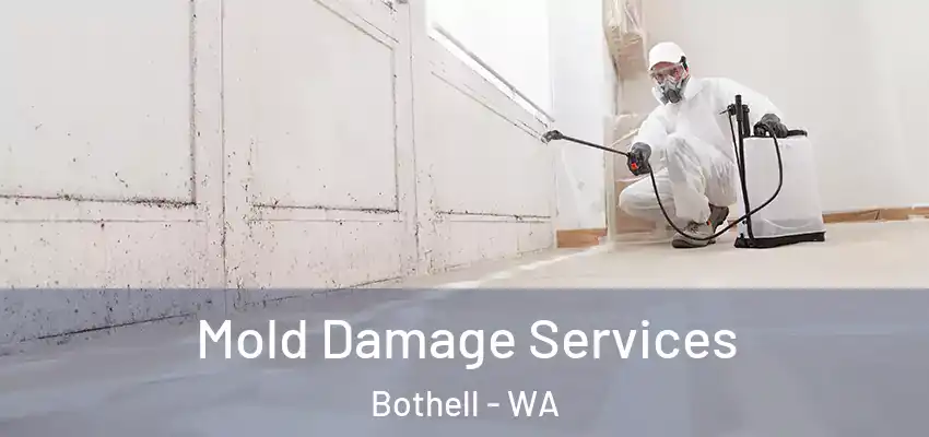  Mold Damage Services Bothell - WA