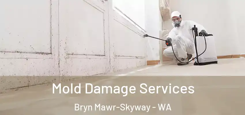  Mold Damage Services Bryn Mawr-Skyway - WA