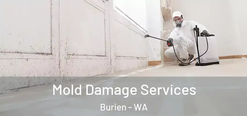  Mold Damage Services Burien - WA