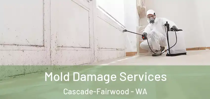 Mold Damage Services Cascade-Fairwood - WA