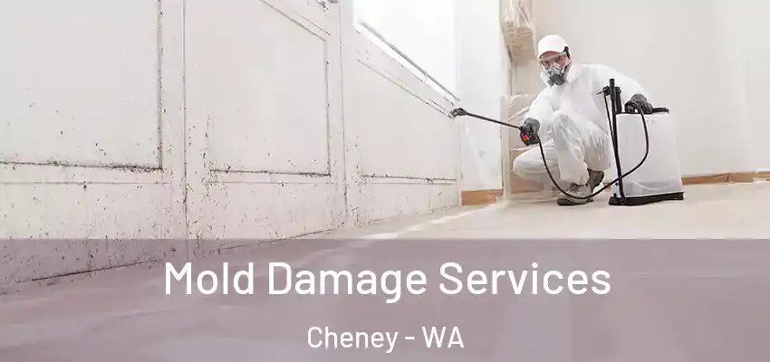  Mold Damage Services Cheney - WA