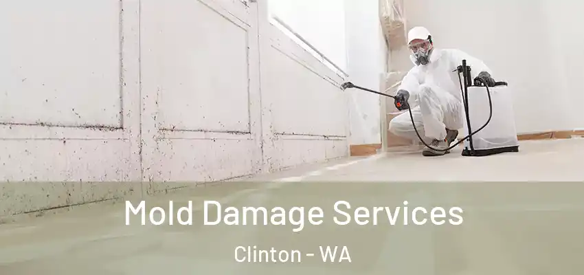  Mold Damage Services Clinton - WA