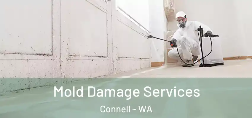  Mold Damage Services Connell - WA
