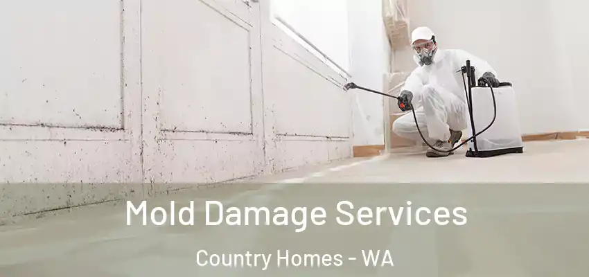  Mold Damage Services Country Homes - WA