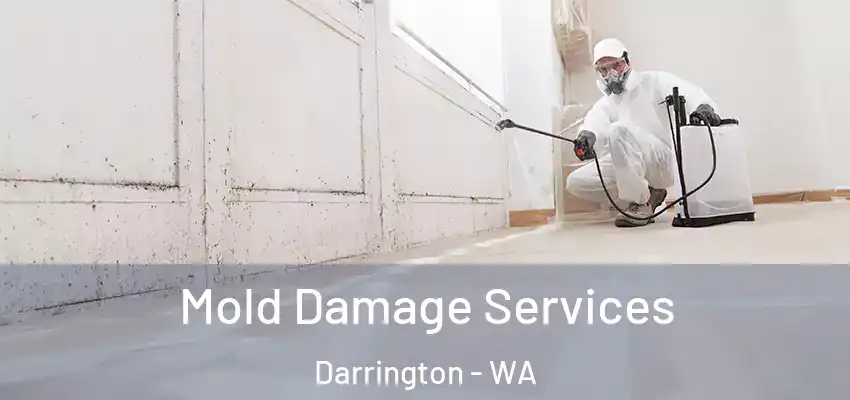  Mold Damage Services Darrington - WA