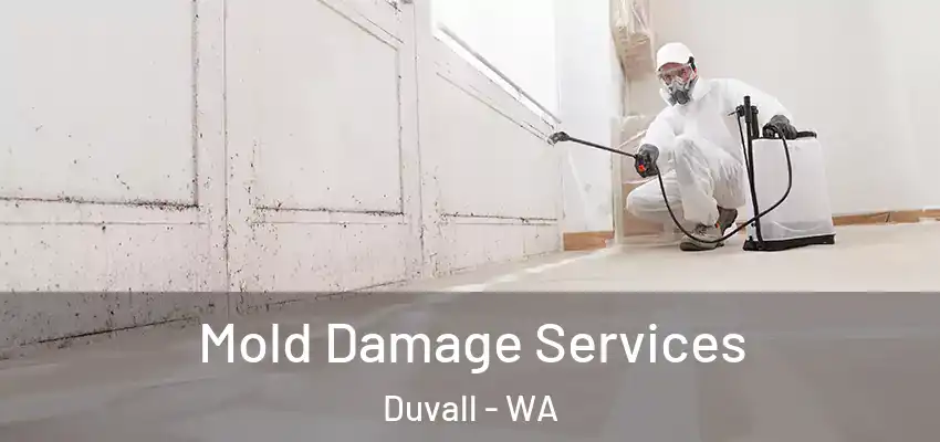  Mold Damage Services Duvall - WA