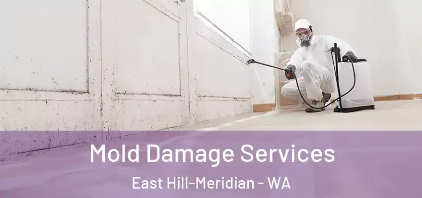  Mold Damage Services East Hill-Meridian - WA