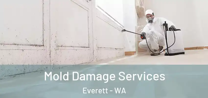  Mold Damage Services Everett - WA