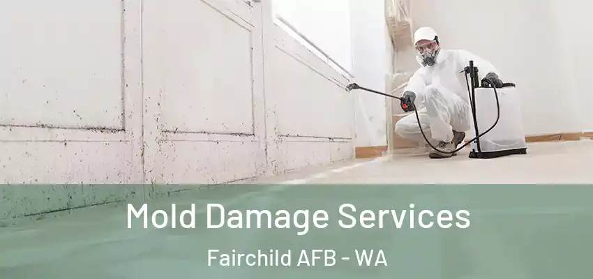  Mold Damage Services Fairchild AFB - WA