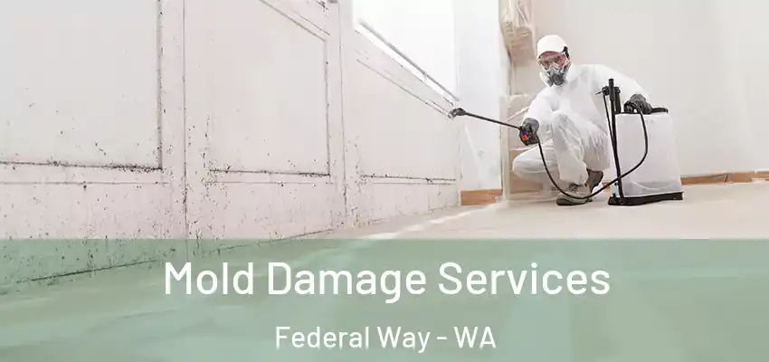 Mold Damage Services Federal Way - WA