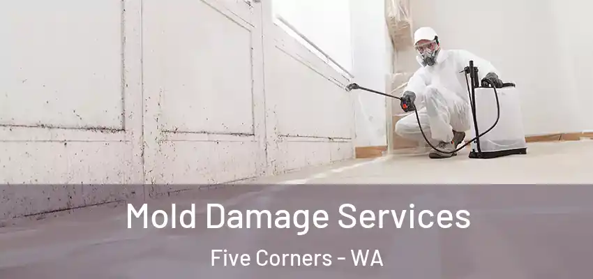  Mold Damage Services Five Corners - WA