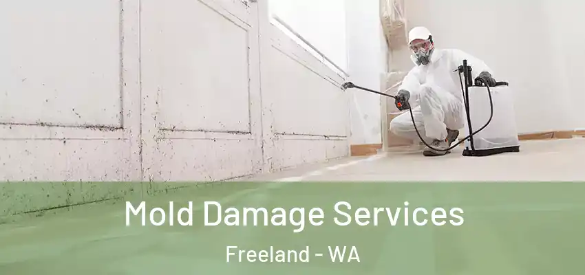  Mold Damage Services Freeland - WA