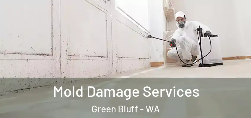  Mold Damage Services Green Bluff - WA