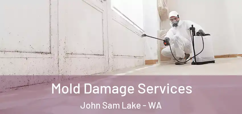  Mold Damage Services John Sam Lake - WA