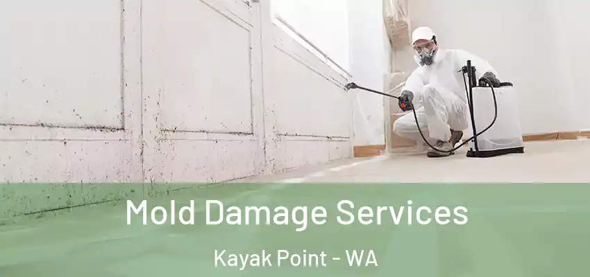  Mold Damage Services Kayak Point - WA