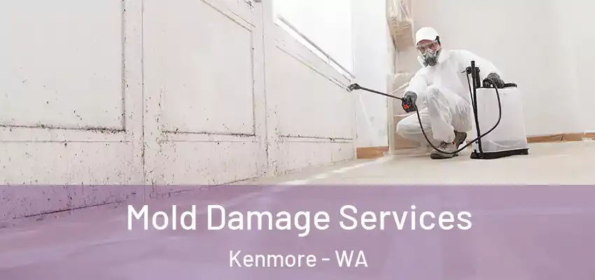  Mold Damage Services Kenmore - WA