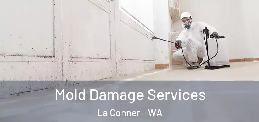  Mold Damage Services La Conner - WA